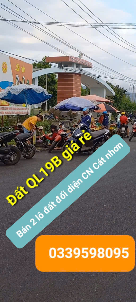 Cơ hội vàng mua đất mặt tiền QL19B - Đối diện KCN Cát Nhơn, Phù Cát - SHR full thổ - giá cực mềm - Ảnh chính